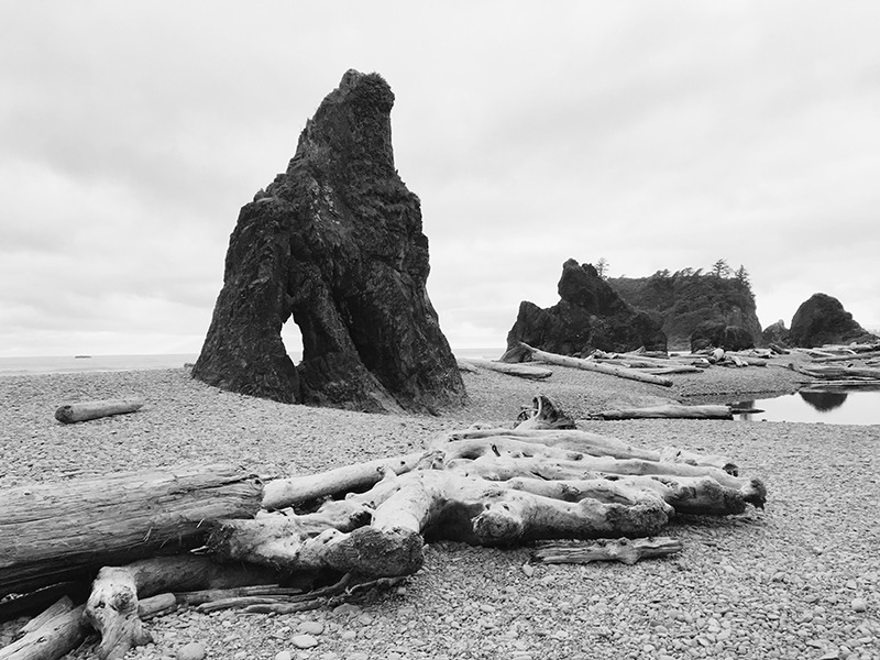 kevinruss:  new print from the washington coast 