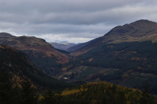 Autumnal Shades around Ben Ledi, TrossachsWe caught Autumn at its Best while going up Ben Ledi in th