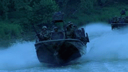hamster37:  comradecorpsman:  drivethegun:  saving-livesprn:  Hahaha SWCC getting owned by fish…  Hahahahahaha  America’s Navy, a Global Force for- FUCK  Squid meet fish LOL 