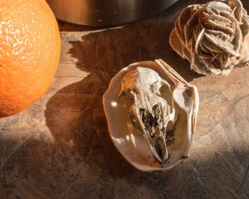 Countertop Mysteries.