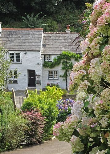 pagewoman: Cottages, Boscastle, Cornwall, England