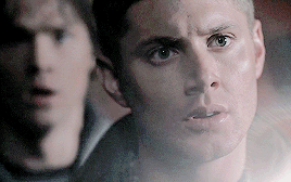 adoringjensen:Visually Striking Scenes↳requested by @plaidnwhiskey