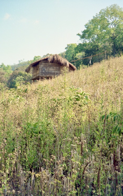Thatched Cottage, Rural Chiang Mai Province, Thailand, 2000 - (ระท่อมมุงจาก, จังหวัดเชียงใหม่, ประเท