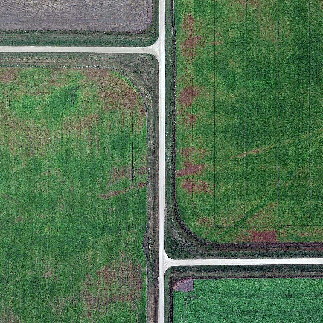 nevver:  All roads lead to nowhere, Gerco de Ruijter 