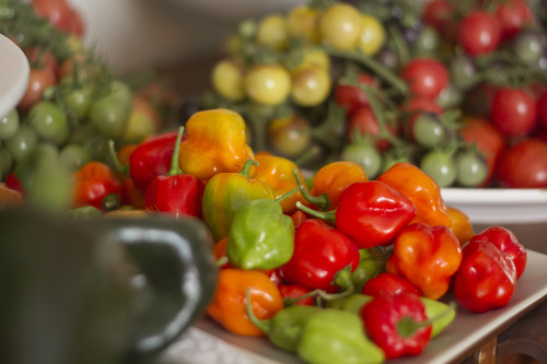 lenorestreetgarden: Our last tomato and pepper harvest.  It’s been a good summer. Jealous!  This is 
