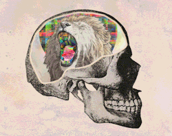 https://69.media.tumblr.com/e61ce80f4f54df243d660c652796d04f/tumblr_mf3sr2PSEn1r8gn0oo1_500.gif