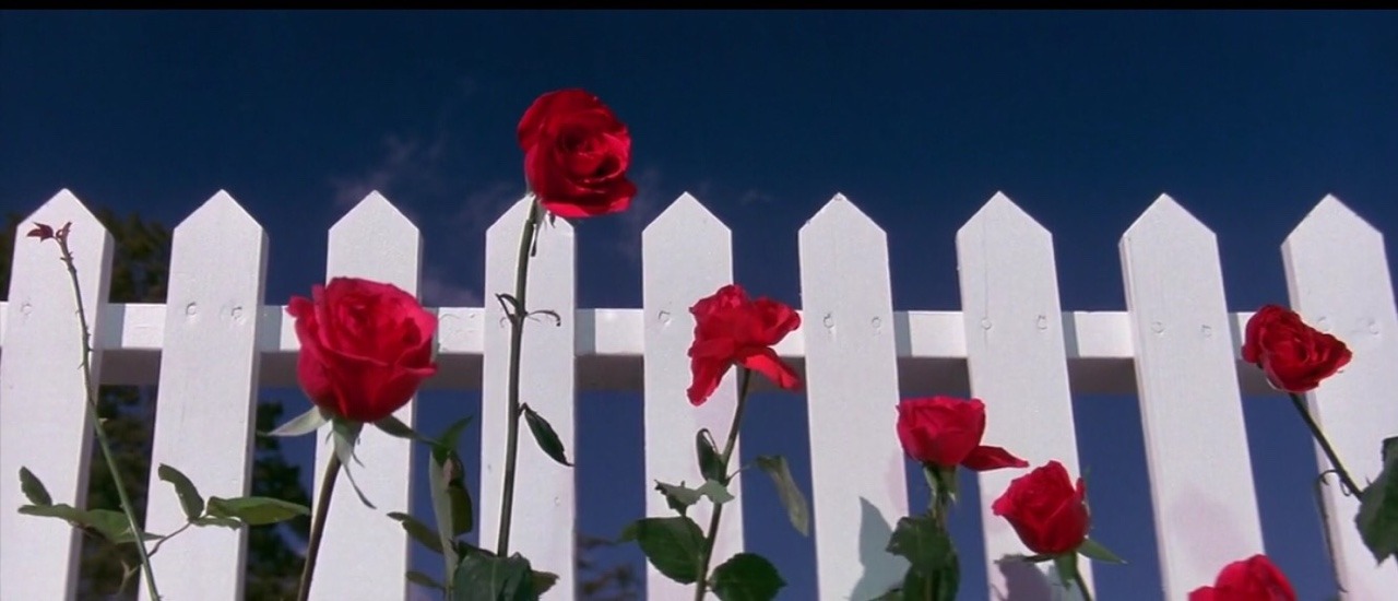 stoxm:  “In dreams, I walk with you.”  Blue Velvet (1986) dir. David Lynch 