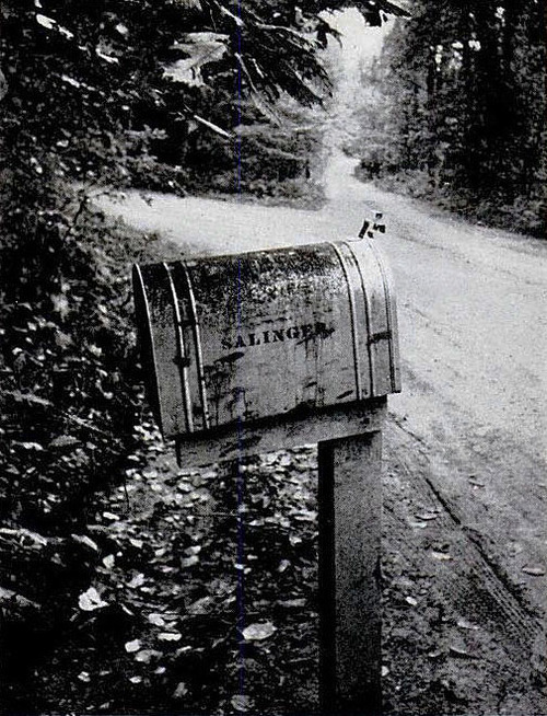 nevver:  “I’m up to my ears in unwritten words.” — J.D. Salinger letters