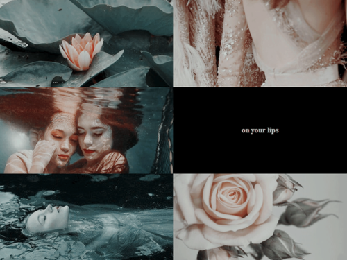 f/f edits: elaine the lily maid &amp; nimuerequested by anon