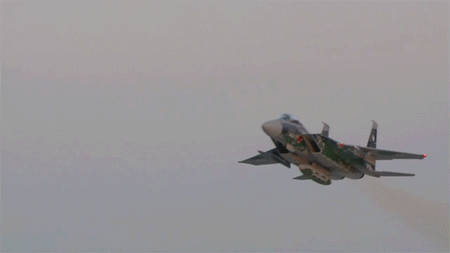riidaroku:  JASDF F-15 