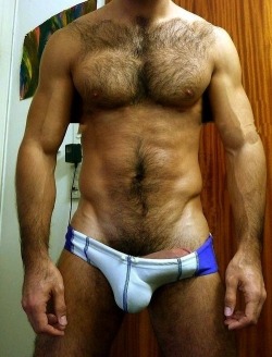 Gay Hairy Lover's