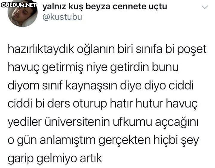 yalnız kuş beyza cennete...