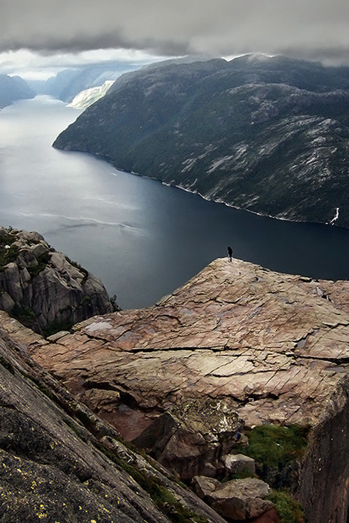 plasmatics-life:   Small Things ~ By Max Rive 