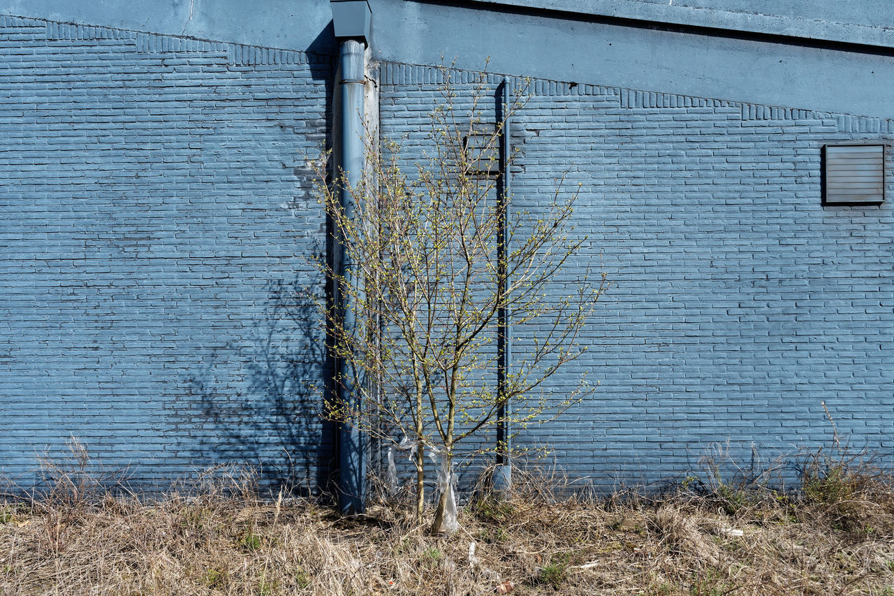 bennyhaest:Merksem, Belgium - 04/18