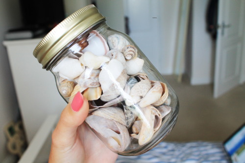 turtelsss:  took this idea from someone but i cant remember who >_< quality blog that follows back similar 