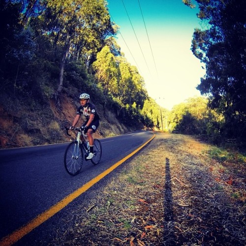 cyclivist: Karl pursues a personal KOM: Lower slopes of Buller. Still finding it pretty manageable, 