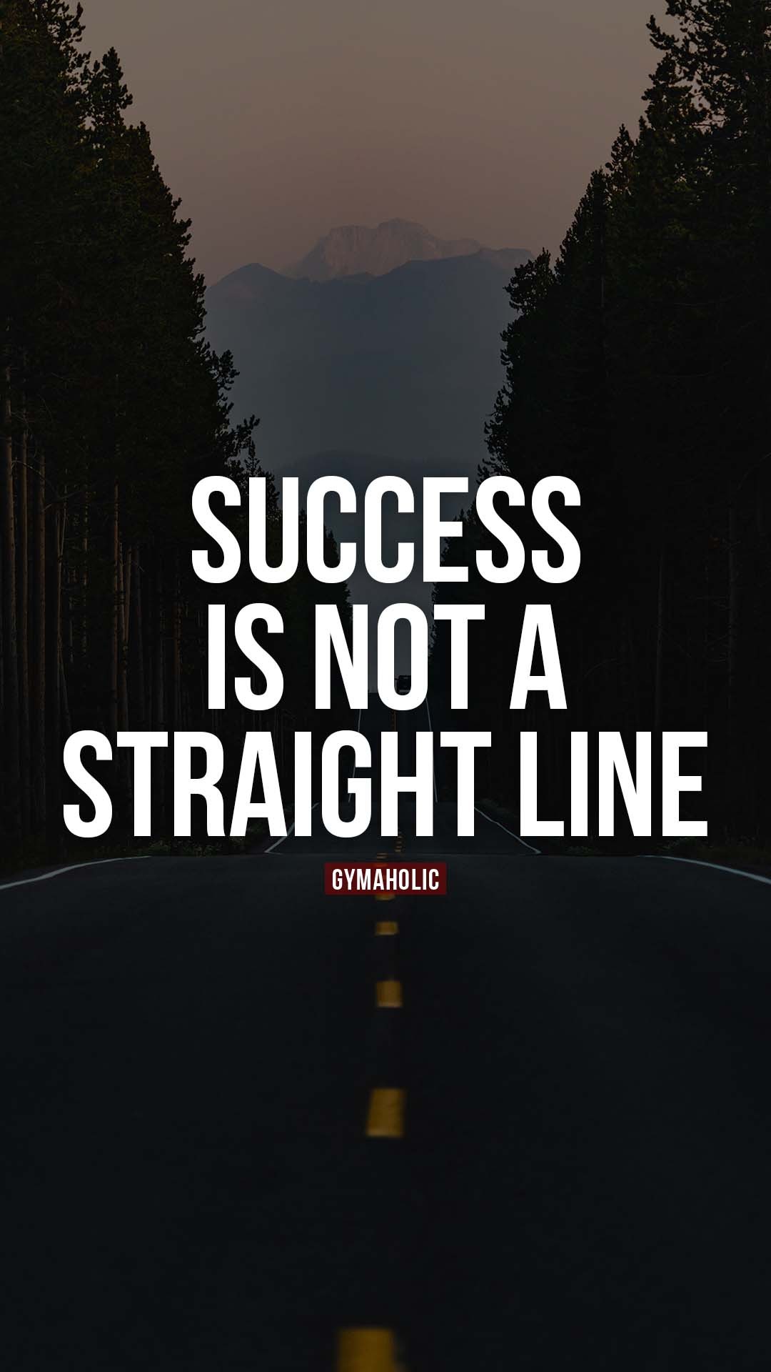 Success is not a straight line