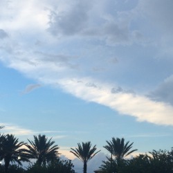 wishlvce:  florida skys are so pretty