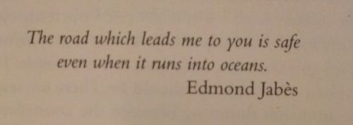 soracities:epigraph to ‘Immigrant Haibun’ by Ocean Vuong, Night Sky With Exit Wounds