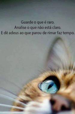 Adeus….