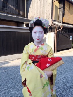 geisha-kai:  Freshly debuted maiko Umecho for July 2014 (SOURCE)