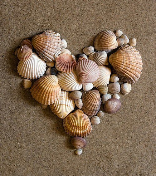 juicylilsecrets:  ♥