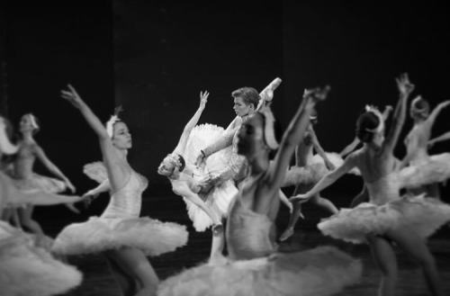 englishballetandtea - Gregory Dean and Kizzy Matiakis in Swan...