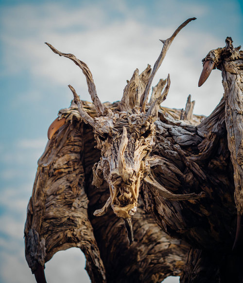 littlelimpstiff14u2: Giant Dragons Made Out Of  Driftwood By James Doran-Webb A wyvern is a fou