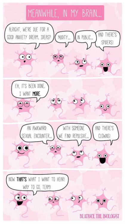 pleatedjeans:  beatrice the biologist