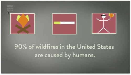 Human activities are the main cause of wildfires in the U.S. Spending to fight fires has increased m