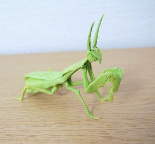 paperphiliac:  Origami Mantis designed by Satoshi Kamiya  Folded by Hiroyaki Kobayashi