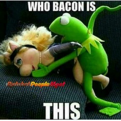 charcies-dld:  Kermits a freak😝😂