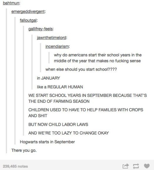 itsstuckyinmyhead:  School and Tumblr 