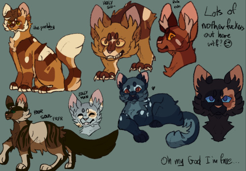 Doodles For Me And My Friend's Clan