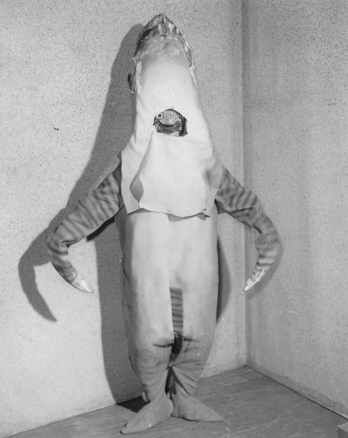Man in Shark Suit