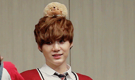 Yoongi + Plushies