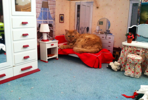 unwomanlythoughts: dama-puma-vs-jaguar-lady: The background here: my girlfriend had a 1944 dollhouse