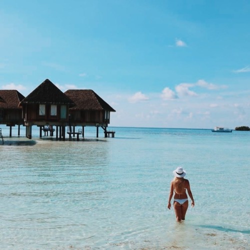 P A R A D I S E #repost Another Happy Zennor Mermaid @felicityelectricity exploring the Maldives in 