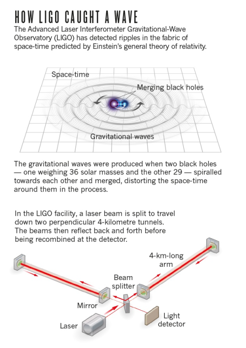 panderton:sci-universe: One hundred years after Albert Einstein predicted the existence of gravi