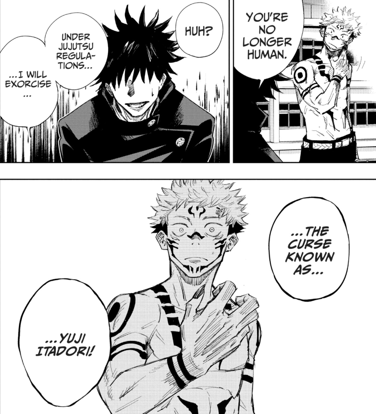 read Jujutsu Kaisen — I guess I should make a proper post about