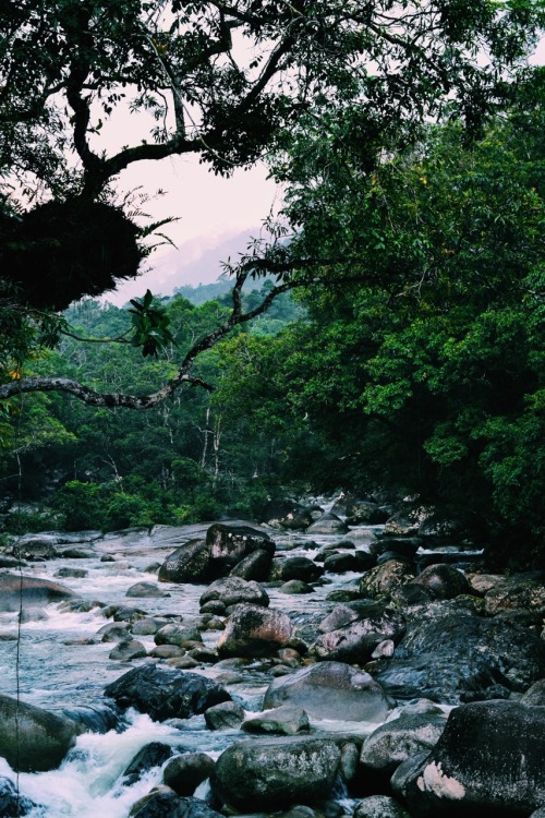 Mossman Gorge, Queensland, Australia