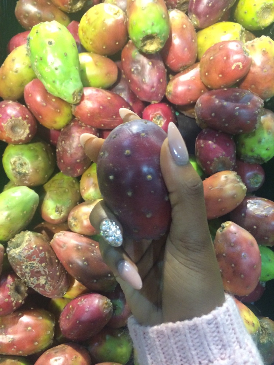 melongorl:  publishing my next Zine ‘random shit I put in my hand at the supermarket’