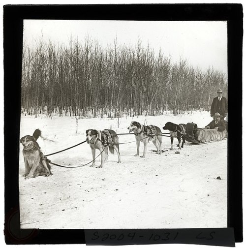 Two men with their sled dogs, Quebec, c. 1910. Dogsleds have been used in Canada since French settle