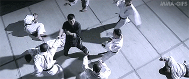 Best Tai Chi Kung Fu Online