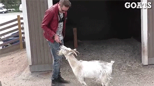 sizvideos:  Video 