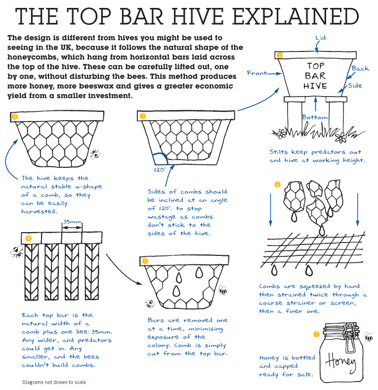 biodiverseed:A Top Bar Honeybee Hive (a.k.a. the “Honey Cow”)I’ve been building