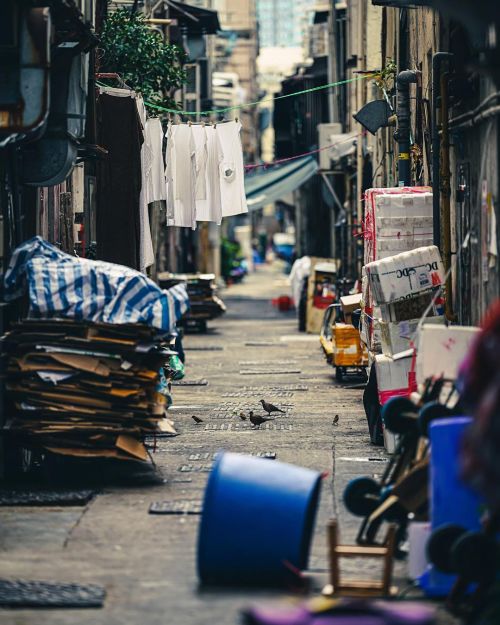 backsreet #hongkong #oneday #streetphotography #discoverhongkong #theimaged #香港 (Hong Kong) 