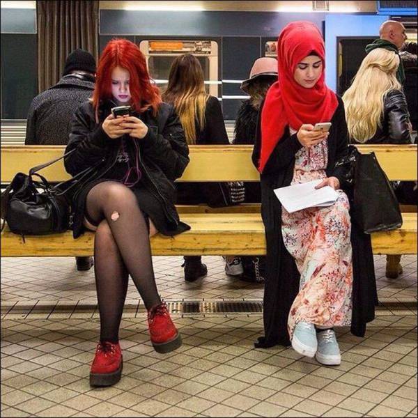 blendedfun:    Random Pictures Of The Day (25 Pics)   