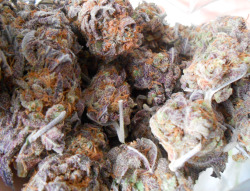 larnbey:  bag of purp 