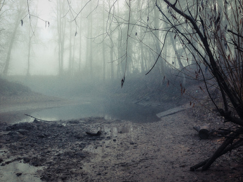 Some Leaves in Winter by photosbysomeguy on Flickr.